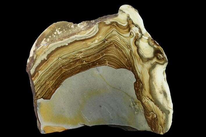 Polished Disaster Peak Jasper Slab - Nevada #152683